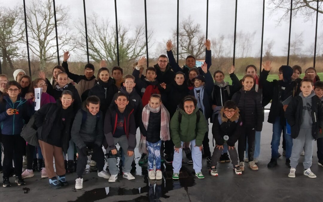 Sortie sciences au parc ornithologique du Teich